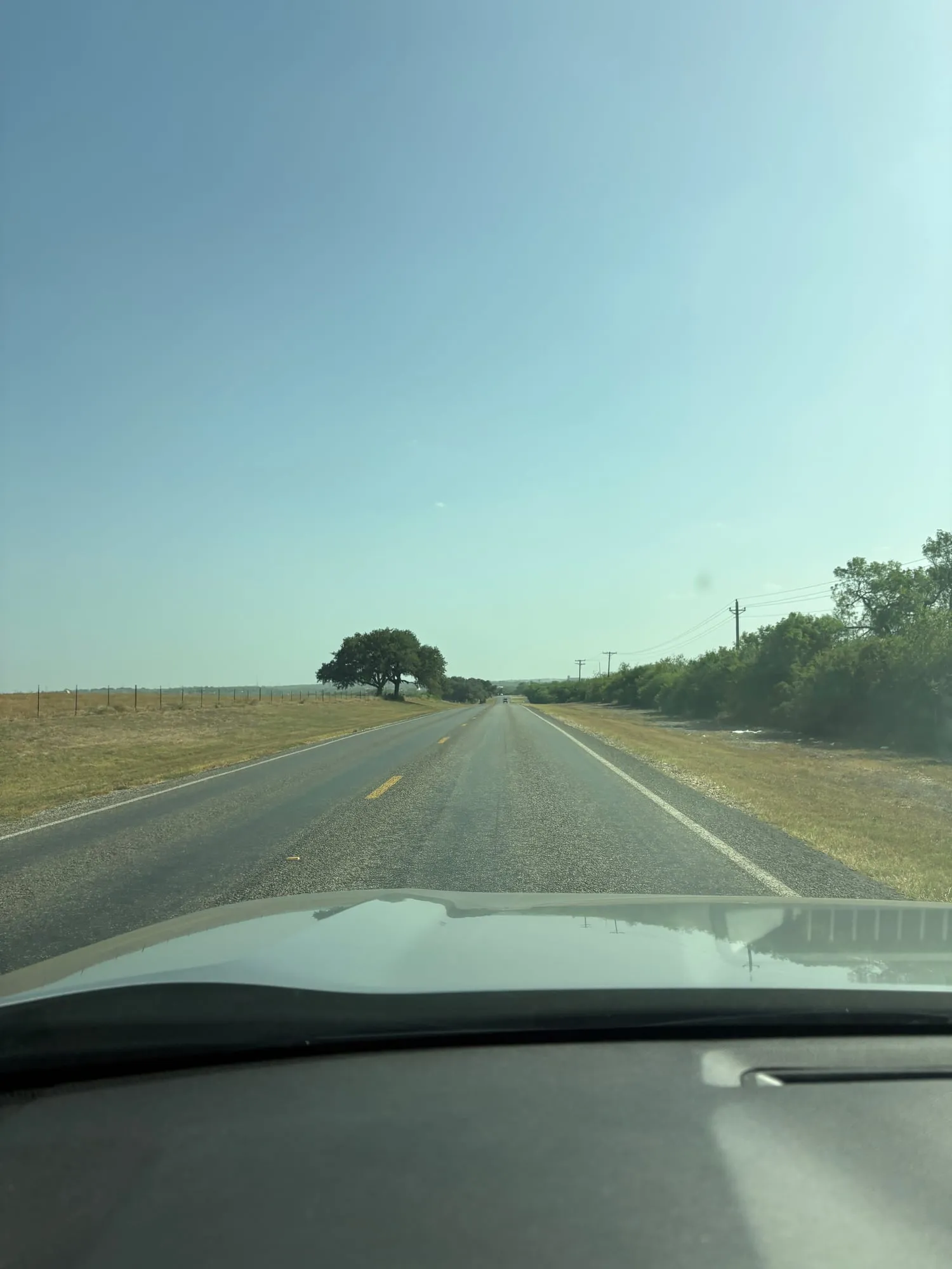 Two lane highway seen through a windshield, dry grass and a fence on one side, a lone live oak on the horizon